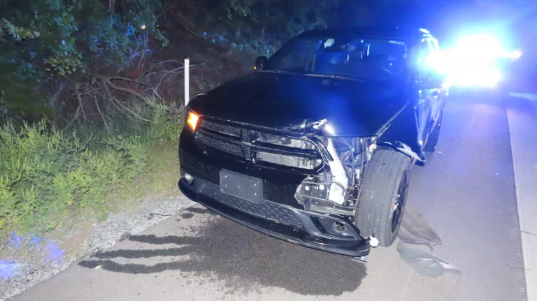 20220908131409_img_1350