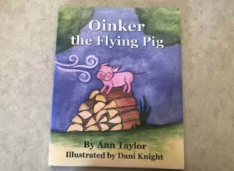 oinker-the-flying-pig