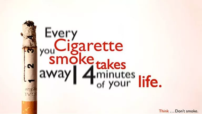 27858620_10156262924051579_3708268536614606539_n