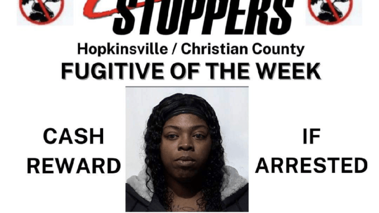 screenshot_20240212-133341