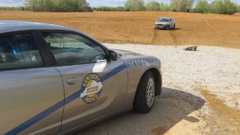 20240412035534_img_5648