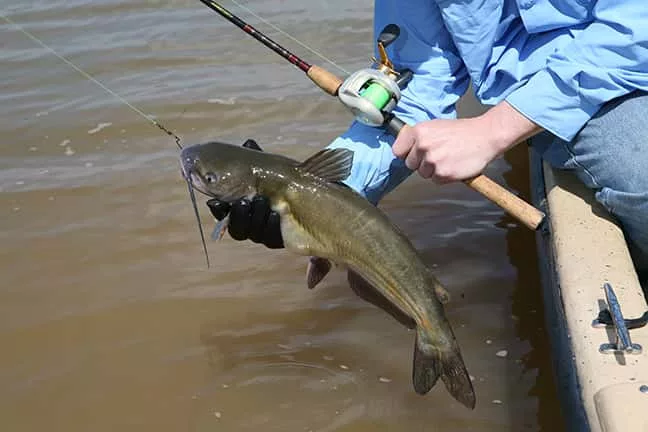 family-fishing-kentucky