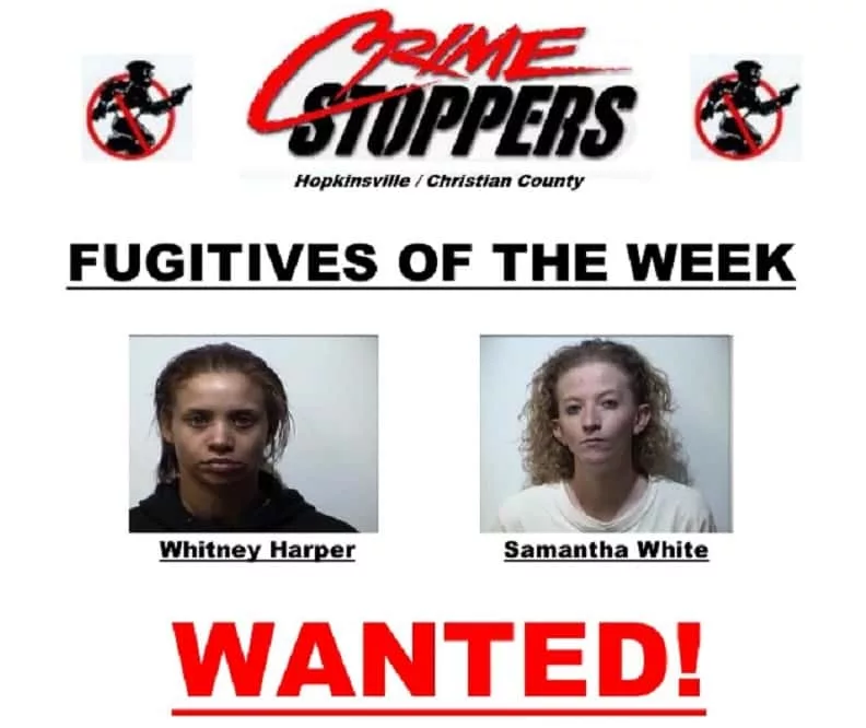 11-13-19-crime-stoppers-cropped