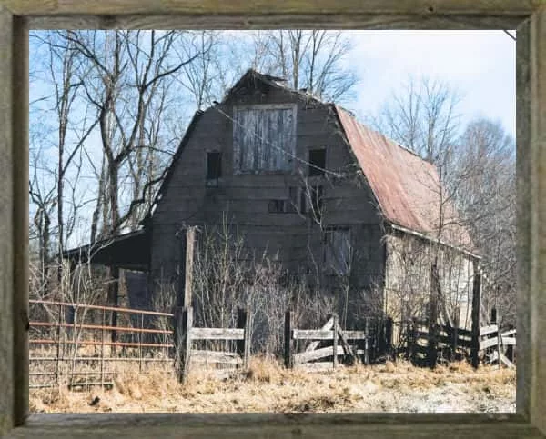 latf-just-outside-the-hustle-and-bustle-of-our-capitol-johnsonco-ted-roach-2