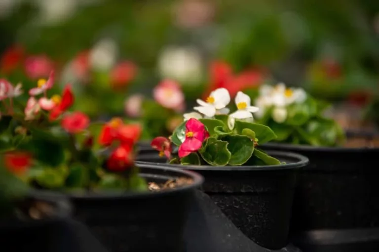 166314537_130665942397499_9069076677045725754_n