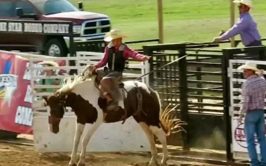 08-16-19-lone-star-rodeo-3-e1565987255953