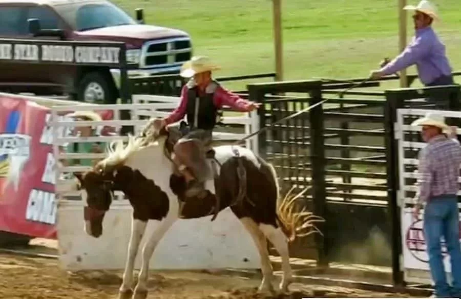 08-16-19-lone-star-rodeo-3-e1565987255953