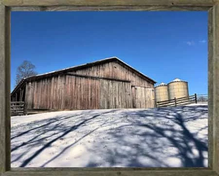 latf-snow-on-the-farm-tammy-bush-2