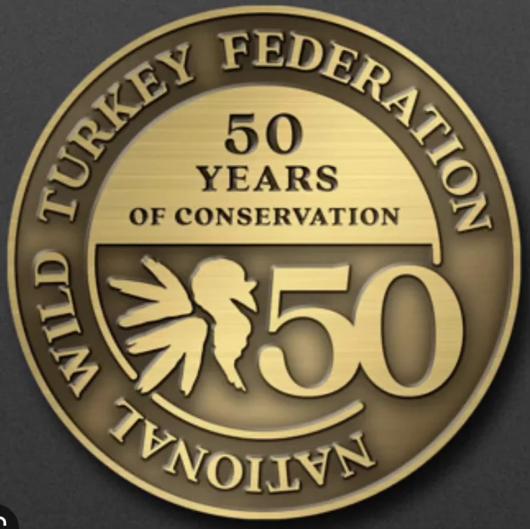 328236469_905715250610242_4997758446268114475_n