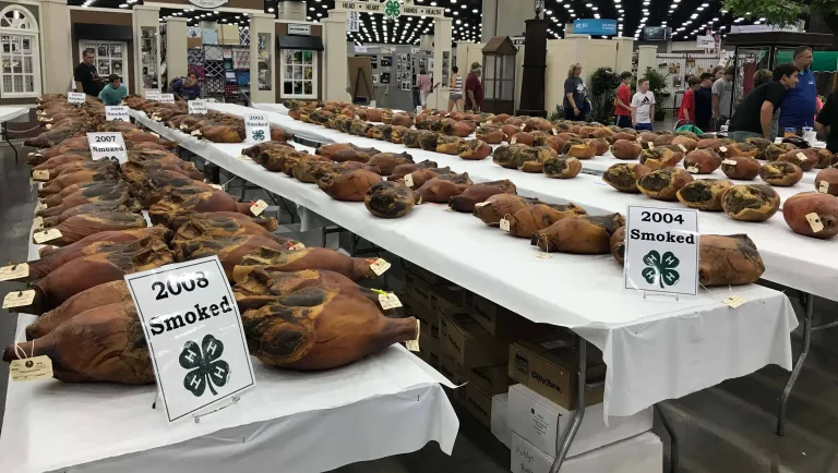Trigg 4-H Members Prepping Country Hams For State Fair | WKDZ