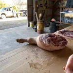 Hog-processing-16.webp