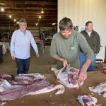 Hog-processing-25.webp