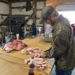 Hog-processing-34.webp