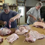 Hog-processing-38.webp