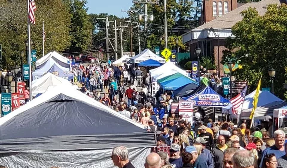 2019-ham-festival-crowd-picutre