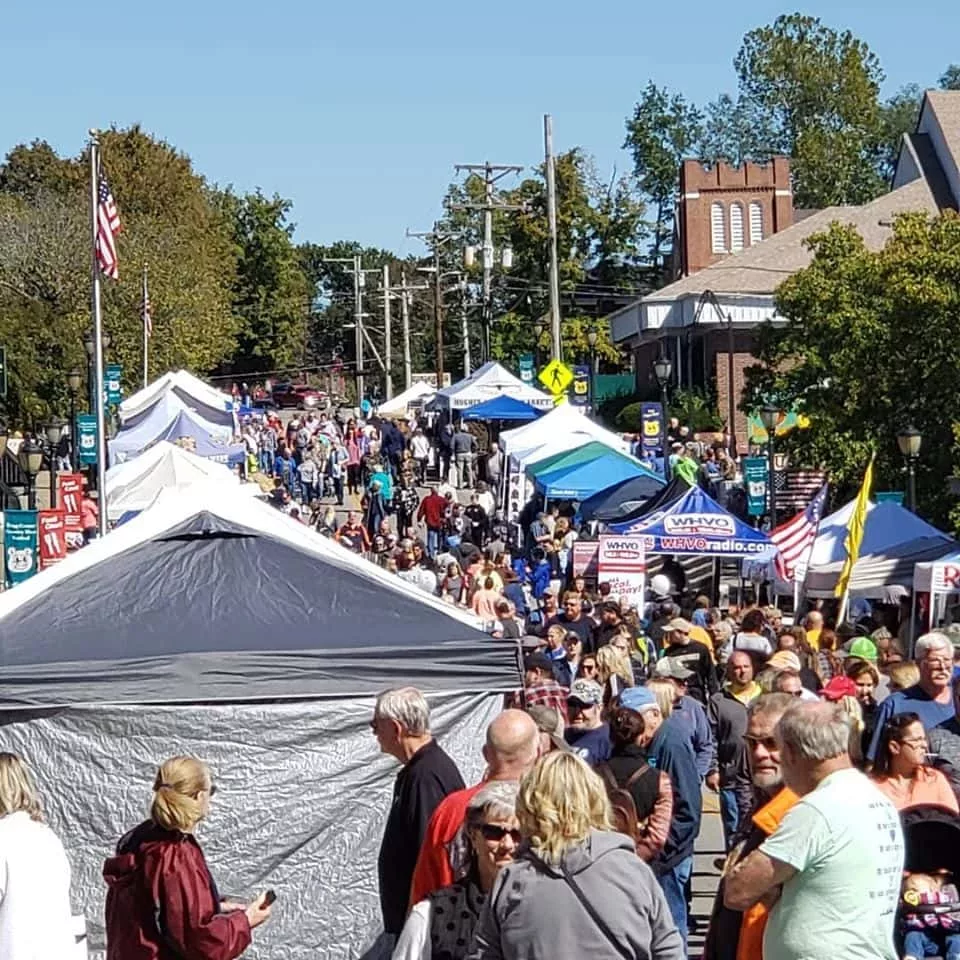 2019-ham-festival-crowd-picutre