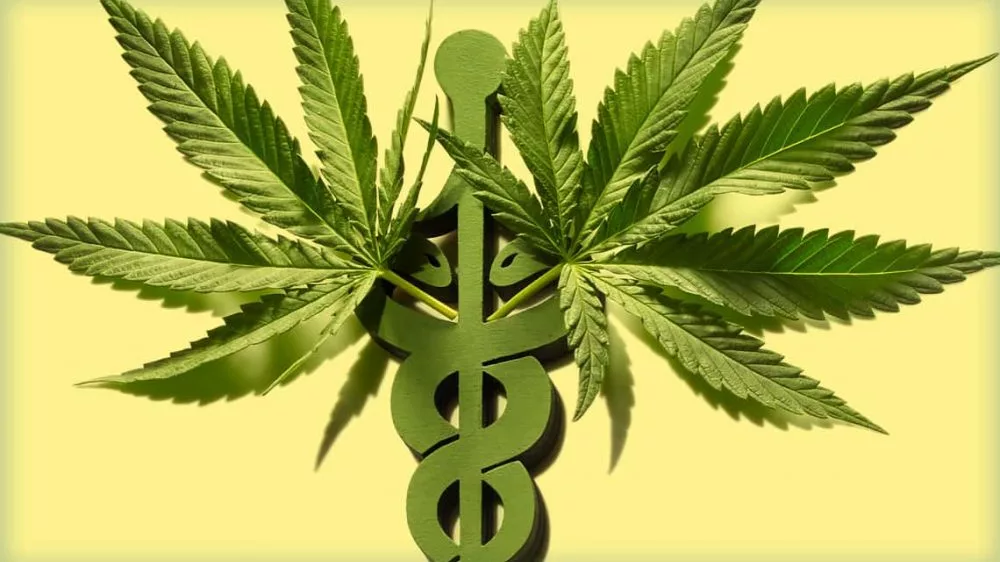 two-marijuana-leaves-superimposed-on-a-caduceus-medical-symbol