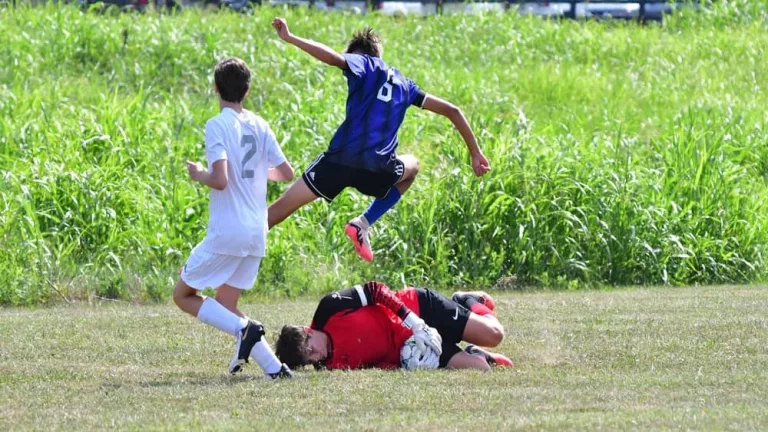 webp-net-resizeimage-4944847