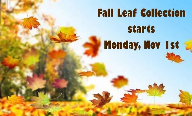 10-20-21-hopkinsville-fall-leaf-collection-graphic