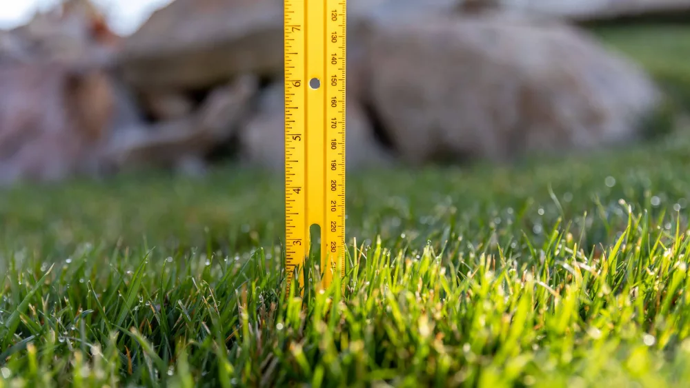 mowing-grass