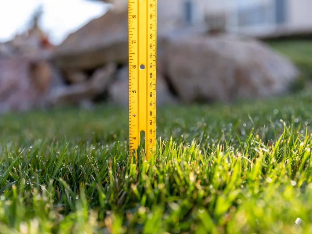 mowing-grass