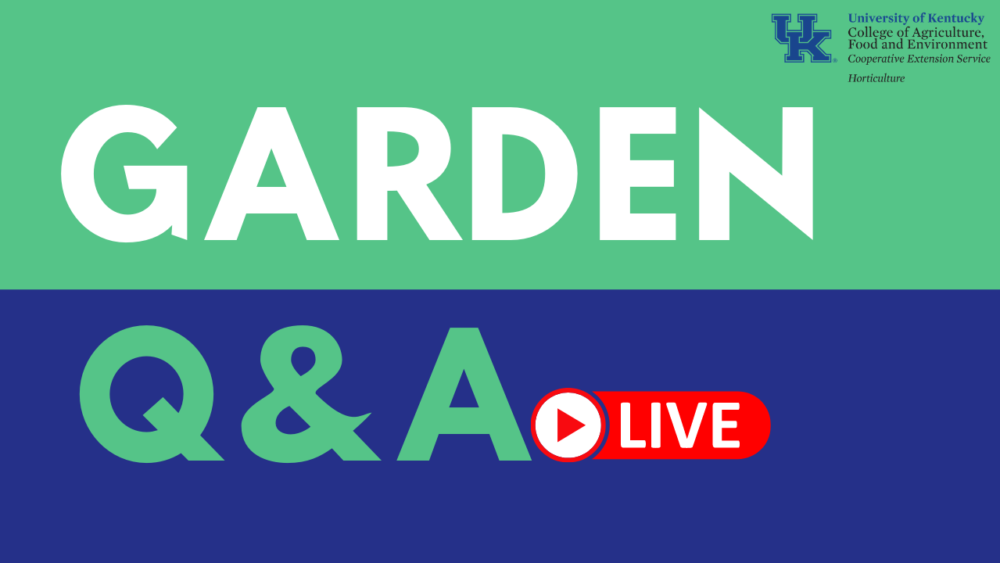 gardenqalive