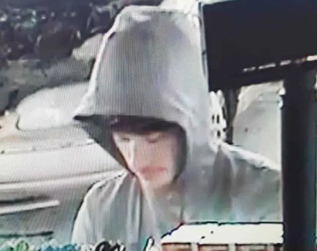 02-21-19-clks-suspect-in-hit-and-run-e1550775735747