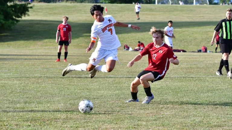 webp-net-resizeimage-8516070