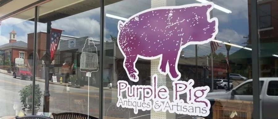 5-21-purple-pig