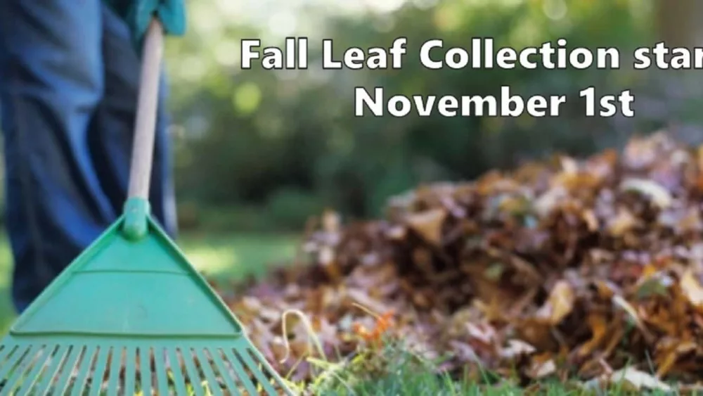 10-23-19-hopk-leaf-collection-graphic