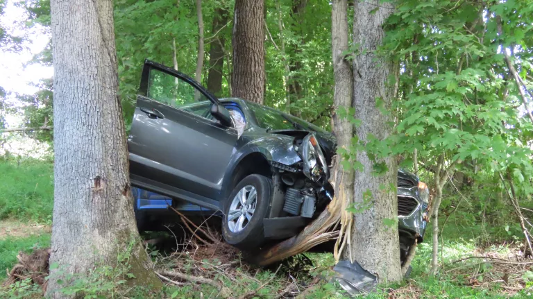 20220922223946_img_1518