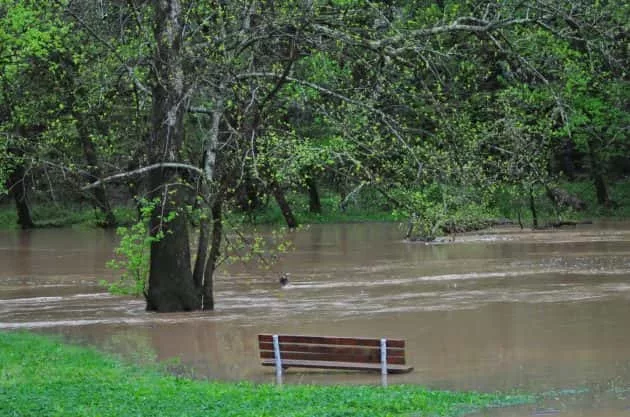 04-23-18-west-cadiz-park-under-water-1-e1524514906299