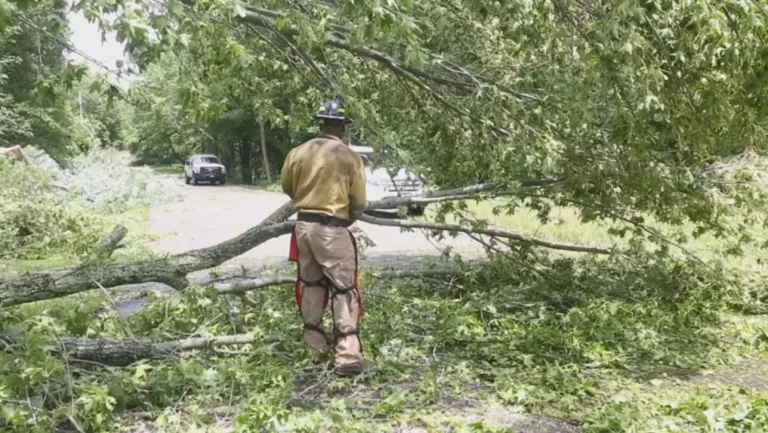 06-24-19-lbl-damage-2