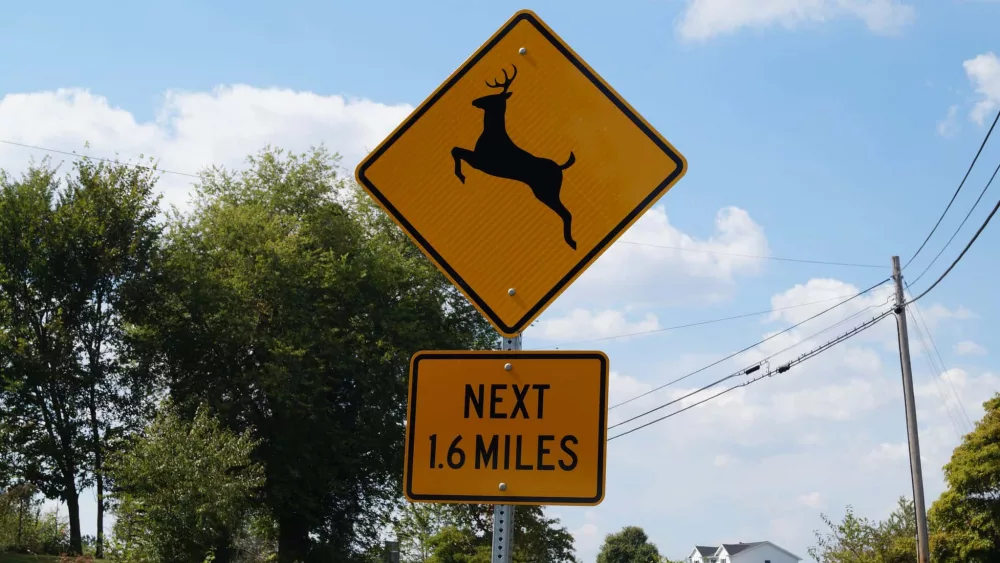 deer-sign