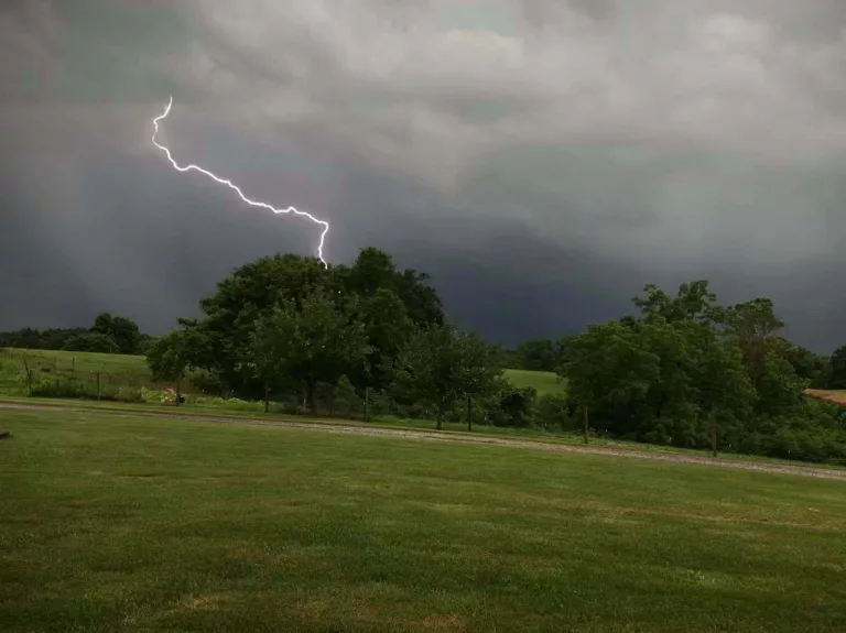 36350551_10156340193431397_4053715181937623040_o-2