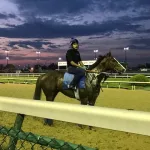 Dawn-at-Churchill-Downs-2019-09.webp