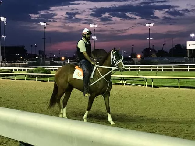 dawn-at-churchill-downs-2019-11