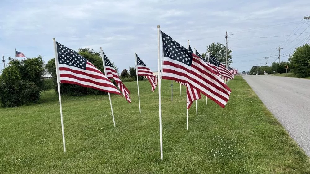 field-of-flags-e1720191629849