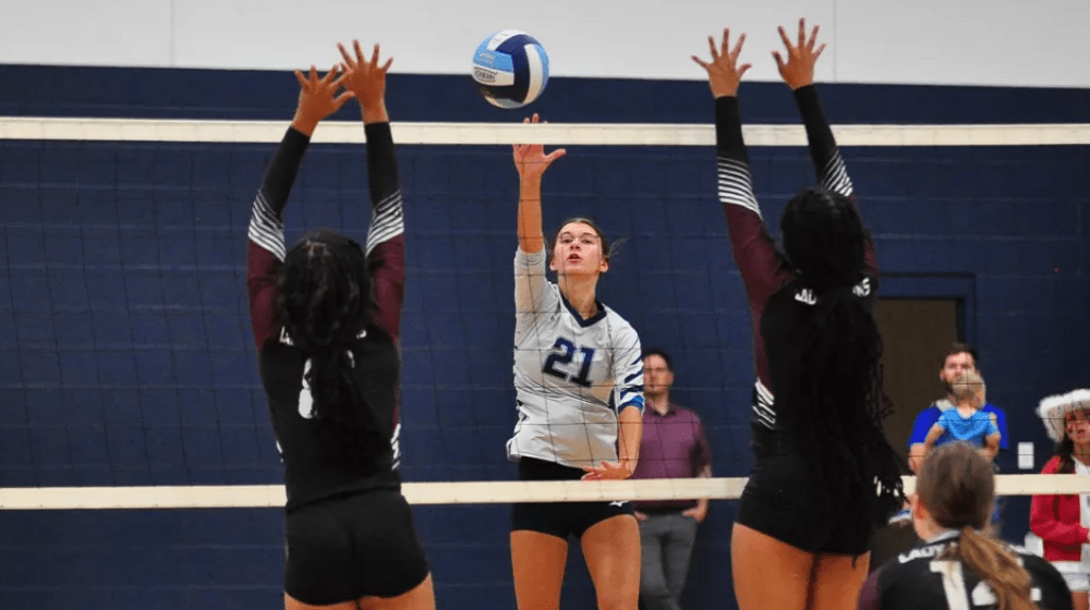 all-vb-preview364508