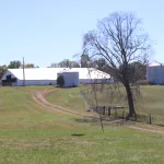 photo-oct-17-2024-00-41-18