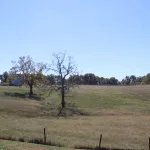 photo-oct-17-2024-00-41-33