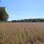 photo-oct-17-2024-00-44-09-1