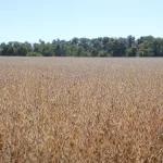 photo-oct-17-2024-00-44-17