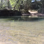 photo-oct-17-2024-00-46-07