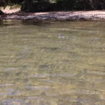 photo-oct-17-2024-00-46-16