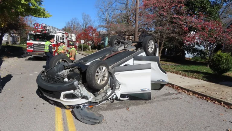 img_7624_copy_1000x563