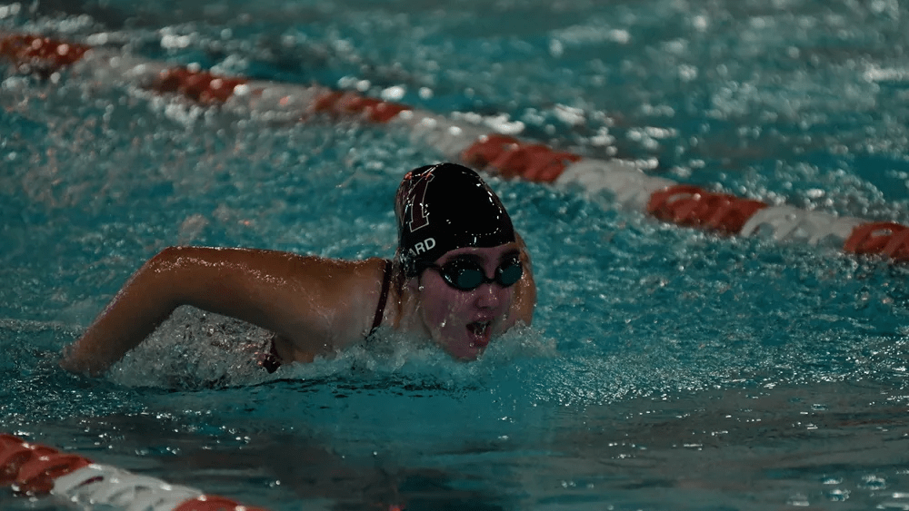 madville-swimming-dec-10385991