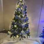 photo-12-13-24-1-17-34-pm