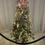 photo-12-13-24-1-13-42-pm