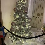 photo-12-13-24-1-16-01-pm